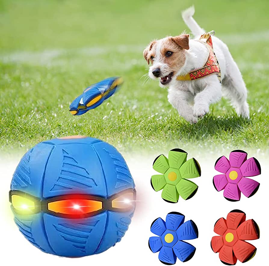 Pawz™ Dog Frisbee