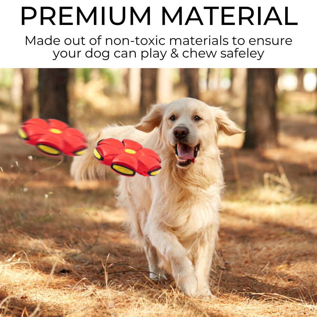 Pawz™ Dog Frisbee