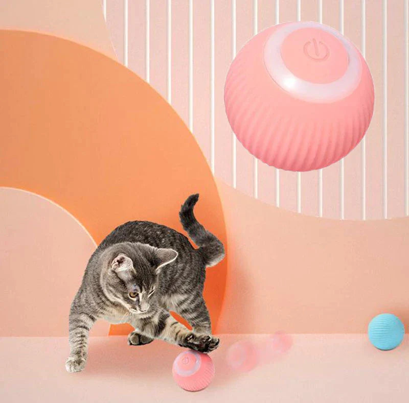 Pawz  Interactive Ball