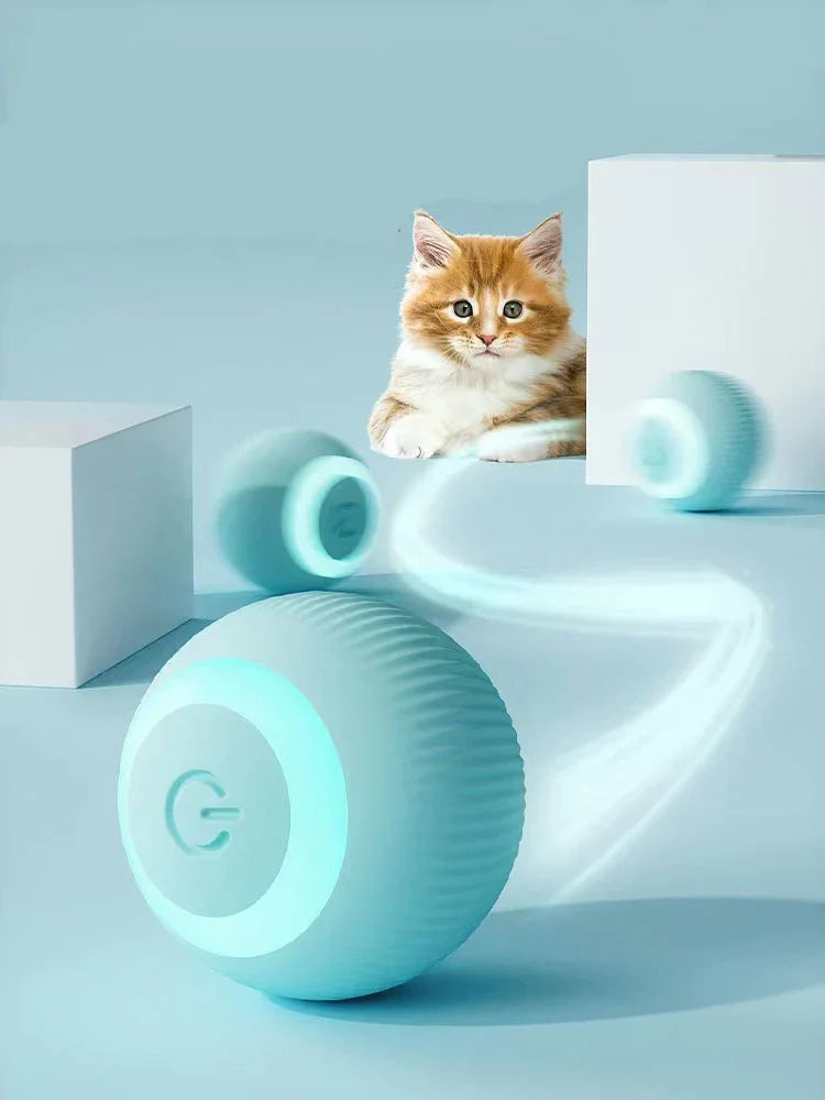 Pawz  Interactive Ball