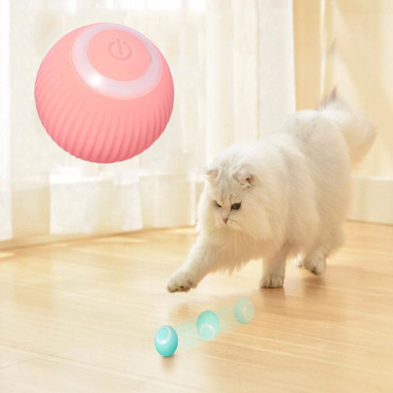 Pawz  Interactive Ball