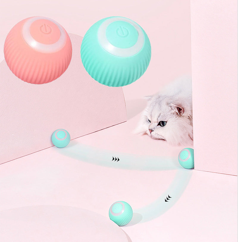 Pawz  Interactive Ball